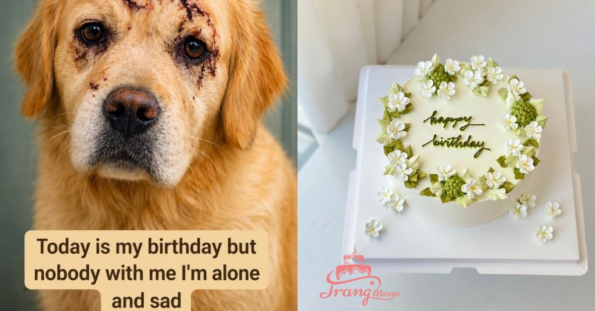 Today Is My Birthday… But No One Remembered. Not Even the People I Once Trusted