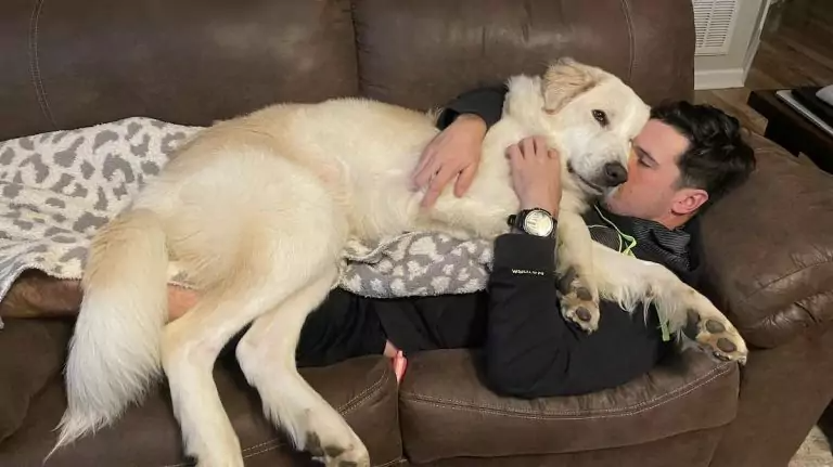 Returned to the Shelter 14 Times, This Heartbroken Dog Finally Found Someone Who Never Gave Up on Him