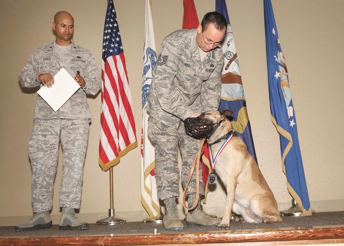 The Bomb Took His Legs… But Made Him a Legend
